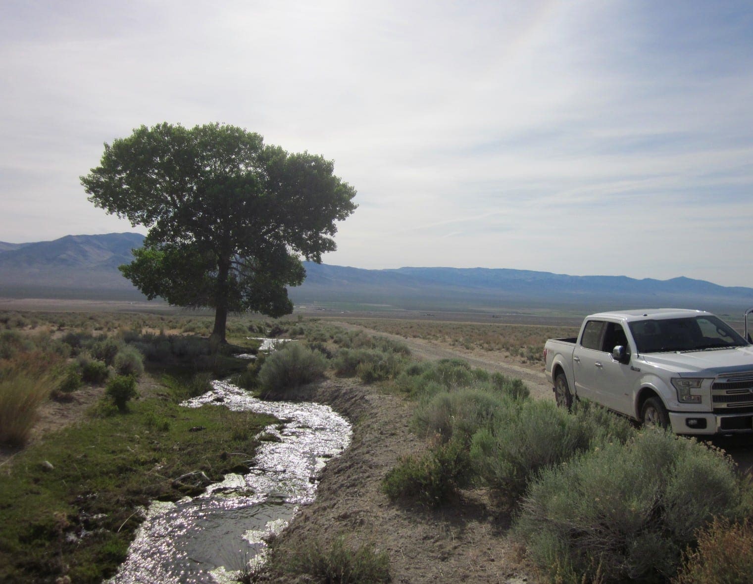 160 Acres in Coyote Canyon Base of Star Peak Completely Surrounded by BLM, Treed with Spring Water near Historic Unionville, Nevada photo 7