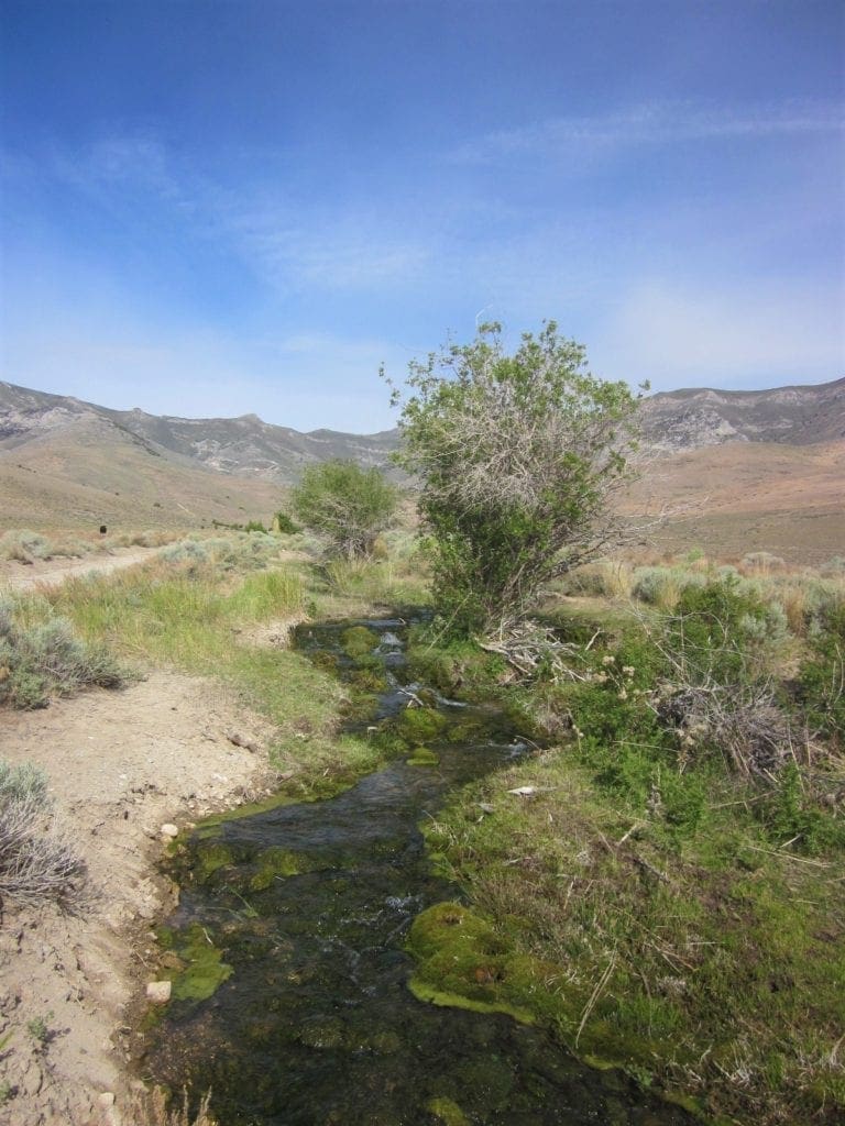 Large view of 160 Acres in Coyote Canyon Base of Star Peak Completely Surrounded by BLM, Treed with Spring Water near Historic Unionville, Nevada Photo 1
