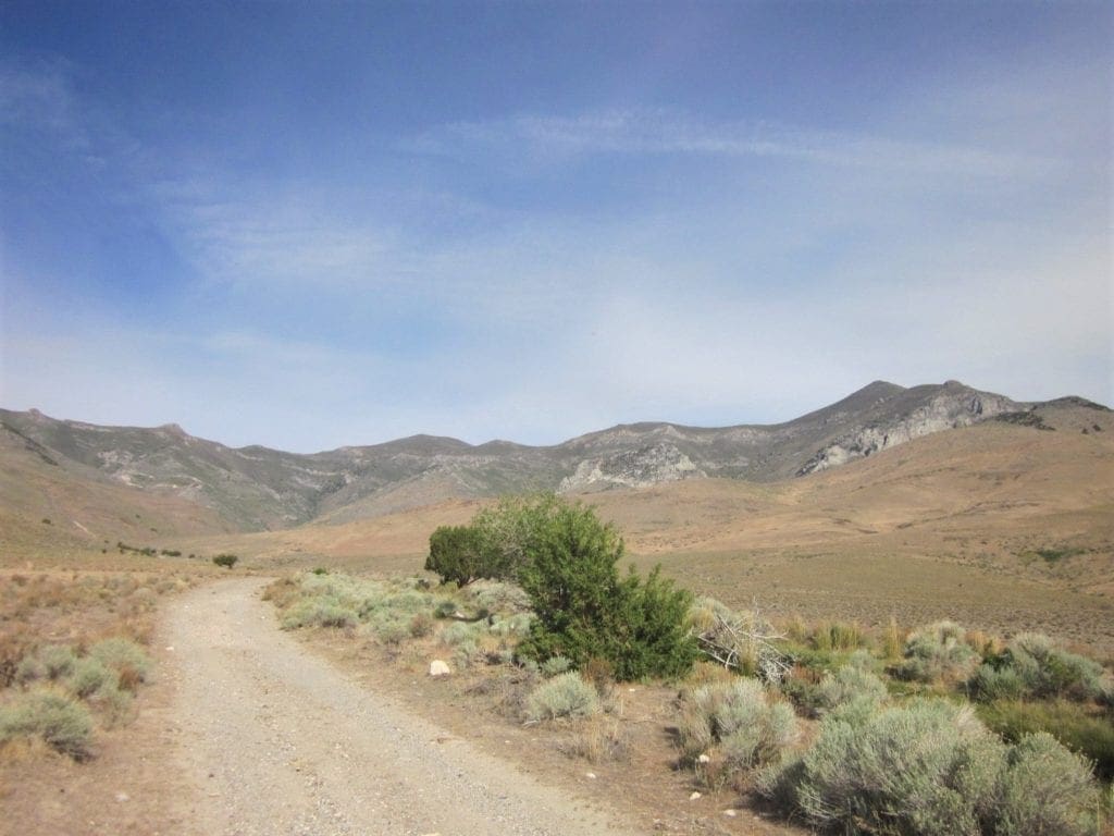 Large view of 160 Acres in Coyote Canyon Base of Star Peak Completely Surrounded by BLM, Treed with Spring Water near Historic Unionville, Nevada Photo 8