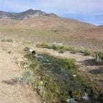 Thumbnail of 160 Acres in Coyote Canyon Base of Star Peak Completely Surrounded by BLM, Treed with Spring Water near Historic Unionville, Nevada Photo 22