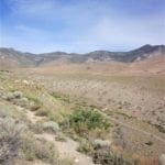Thumbnail of 160 Acres in Coyote Canyon Base of Star Peak Completely Surrounded by BLM, Treed with Spring Water near Historic Unionville, Nevada Photo 19