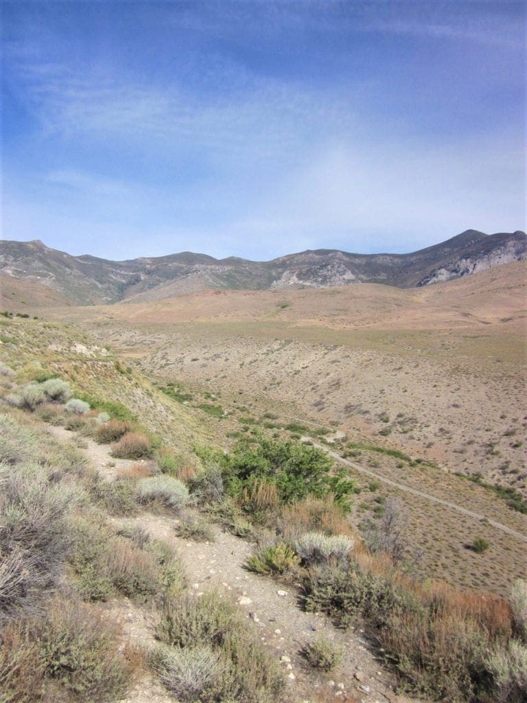 Large view of 160 Acres in Coyote Canyon Base of Star Peak Completely Surrounded by BLM, Treed with Spring Water near Historic Unionville, Nevada Photo 19