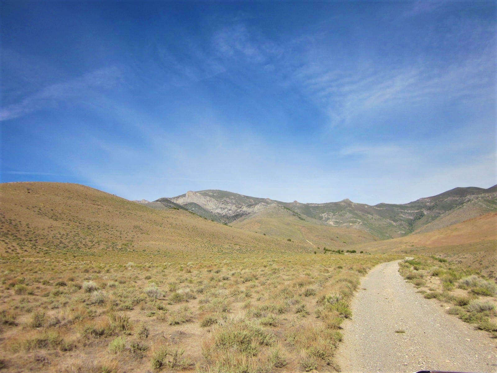 160 Acres in Coyote Canyon Base of Star Peak Completely Surrounded by BLM, Treed with Spring Water near Historic Unionville, Nevada photo 25