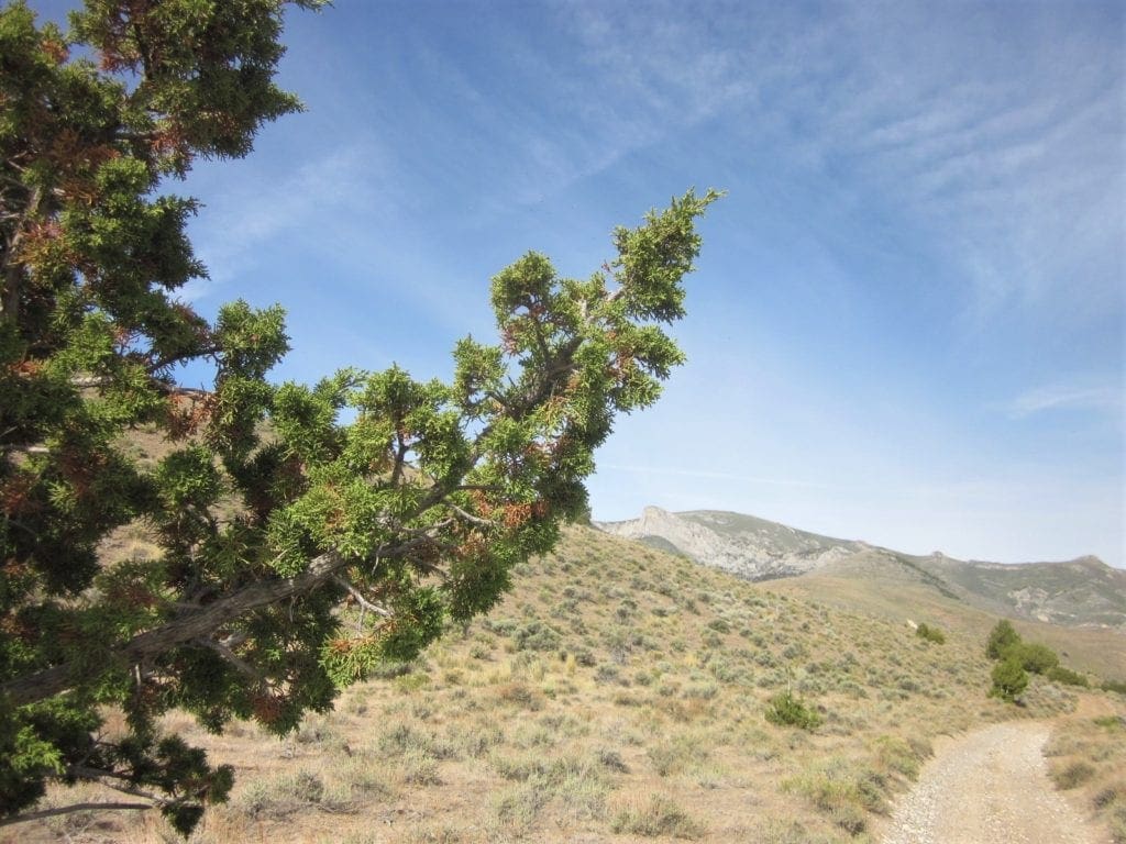 Large view of 160 Acres in Coyote Canyon Base of Star Peak Completely Surrounded by BLM, Treed with Spring Water near Historic Unionville, Nevada Photo 4