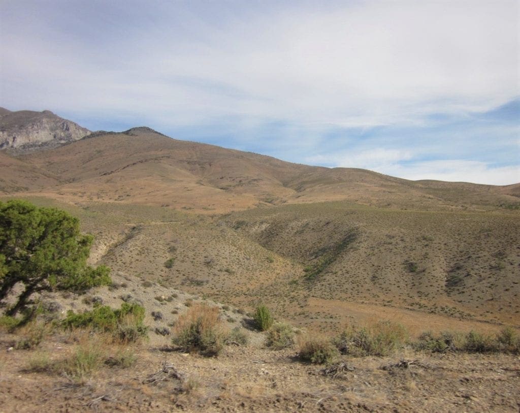 Large view of 160 Acres in Coyote Canyon Base of Star Peak Completely Surrounded by BLM, Treed with Spring Water near Historic Unionville, Nevada Photo 21
