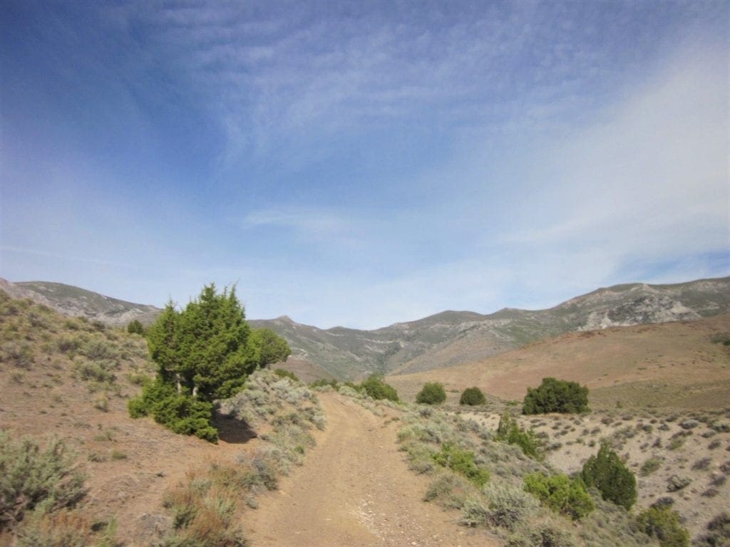 Large view of 160 Acres in Coyote Canyon Base of Star Peak Completely Surrounded by BLM, Treed with Spring Water near Historic Unionville, Nevada Photo 26