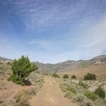 Thumbnail of 160 Acres in Coyote Canyon Base of Star Peak Completely Surrounded by BLM, Treed with Spring Water near Historic Unionville, Nevada Photo 26