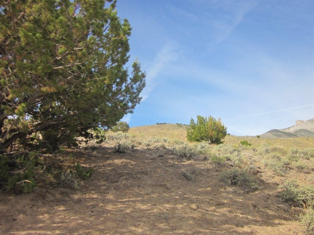Large view of 160 Acres in Coyote Canyon Base of Star Peak Completely Surrounded by BLM, Treed with Spring Water near Historic Unionville, Nevada Photo 15