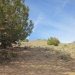 Thumbnail of 160 Acres in Coyote Canyon Base of Star Peak Completely Surrounded by BLM, Treed with Spring Water near Historic Unionville, Nevada Photo 15
