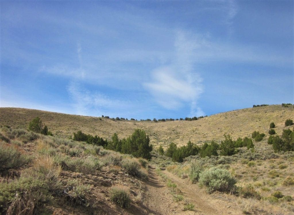 Large view of 160 Acres in Coyote Canyon Base of Star Peak Completely Surrounded by BLM, Treed with Spring Water near Historic Unionville, Nevada Photo 12