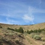 Thumbnail of 160 Acres in Coyote Canyon Base of Star Peak Completely Surrounded by BLM, Treed with Spring Water near Historic Unionville, Nevada Photo 12