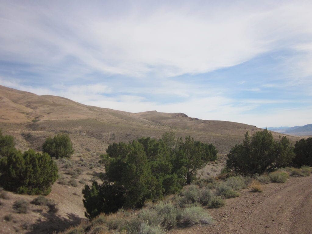 Large view of 160 Acres in Coyote Canyon Base of Star Peak Completely Surrounded by BLM, Treed with Spring Water near Historic Unionville, Nevada Photo 11