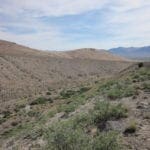 Thumbnail of 160 Acres in Coyote Canyon Base of Star Peak Completely Surrounded by BLM, Treed with Spring Water near Historic Unionville, Nevada Photo 20