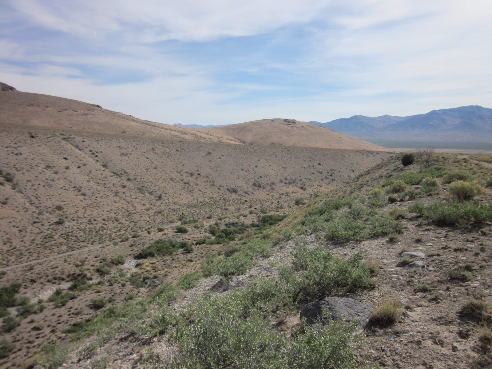 160 Acres in Coyote Canyon Base of Star Peak Completely Surrounded by BLM, Treed with Spring Water near Historic Unionville, Nevada photo 20