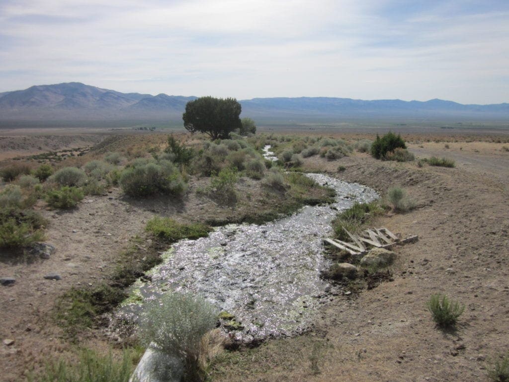 Large view of 160 Acres in Coyote Canyon Base of Star Peak Completely Surrounded by BLM, Treed with Spring Water near Historic Unionville, Nevada Photo 16
