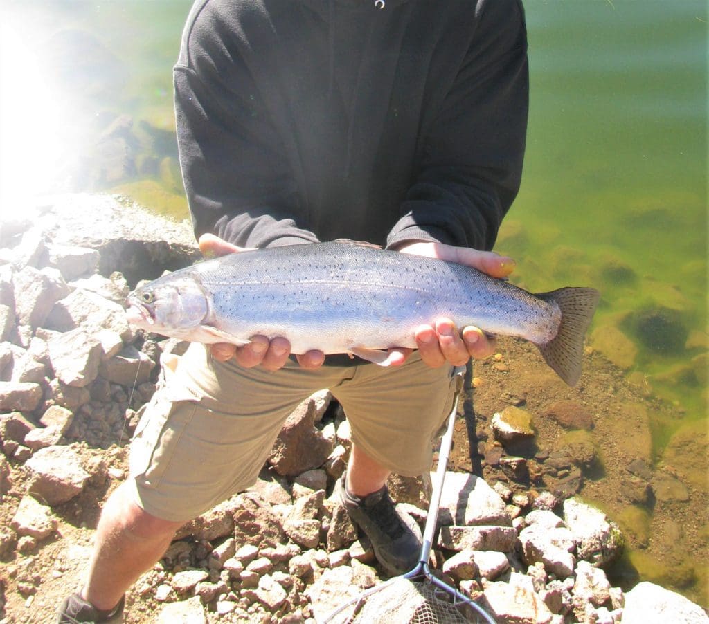 Large view of 1.54 ACRES IN BEAUTIFUL OREGON PINES THAT ADJOINS THE FREMONT-WINEMA NATIONAL FOREST PRIVATE ACCESS TO MIILIONS OF ACRES OF PLAYGROUND Photo 14