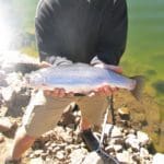 Thumbnail of 1.54 ACRES IN BEAUTIFUL OREGON PINES THAT ADJOINS THE FREMONT-WINEMA NATIONAL FOREST PRIVATE ACCESS TO MIILIONS OF ACRES OF PLAYGROUND Photo 14