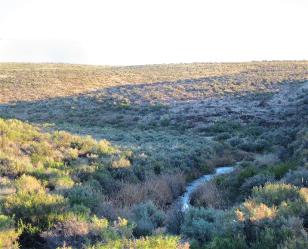 Large view of Secluded 20.51 Acre Oregon Land! Water, Wildlife, TWO CREEKS Photo 4