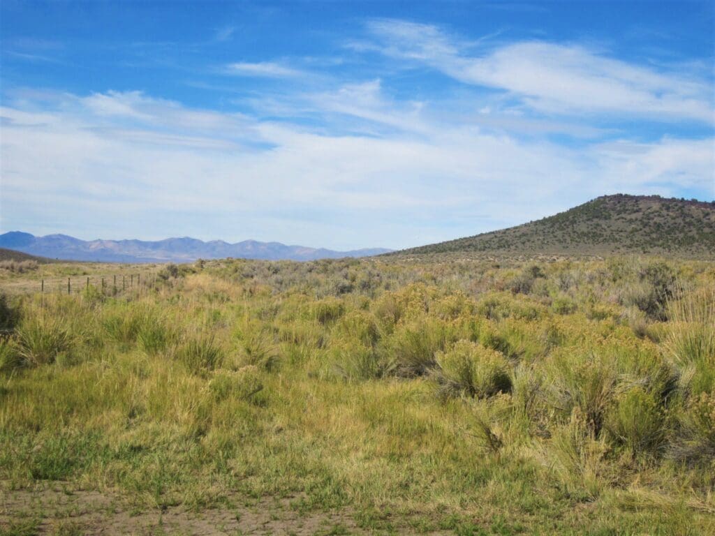 Large view of 40.00 ACRES IN WINNEMUCCA, NEVADA. HUMBOLDT COUNTY ~ ADJOINS B.L.M. LANDS ~ NEAR TOWN ~ANTELOPE & DEER ABOUND. Photo 8