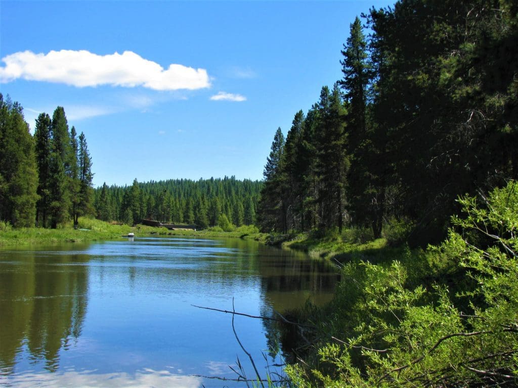 Large view of 1.57 ACRES IN BEAUTIFUL OREGON PINES KLAMATH COUNTY, OREGON ~ GORGEOUS VIEWS & TONS OF WILDLIFE! Photo 3