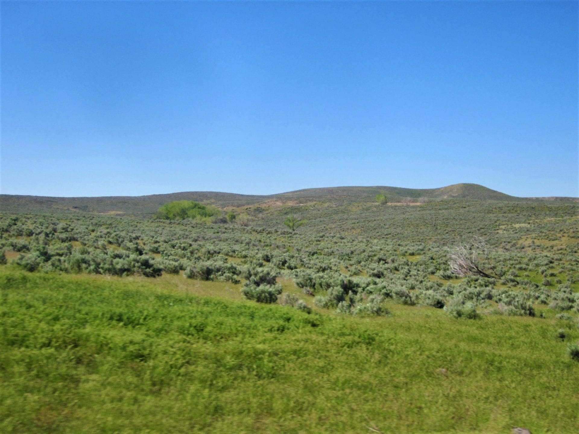 Beautiful 20.00 Large Acreage near Idaho’s Snake River photo 1