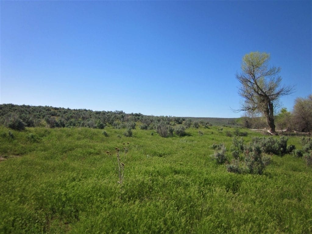 Large view of Beautiful 20.00 Large Acreage near Idaho’s Snake River Photo 4