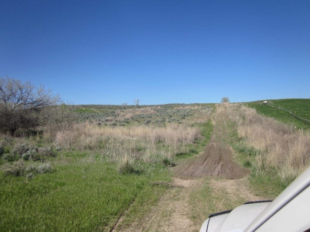 Large view of Beautiful 20.00 Large Acreage near Idaho’s Snake River Photo 5