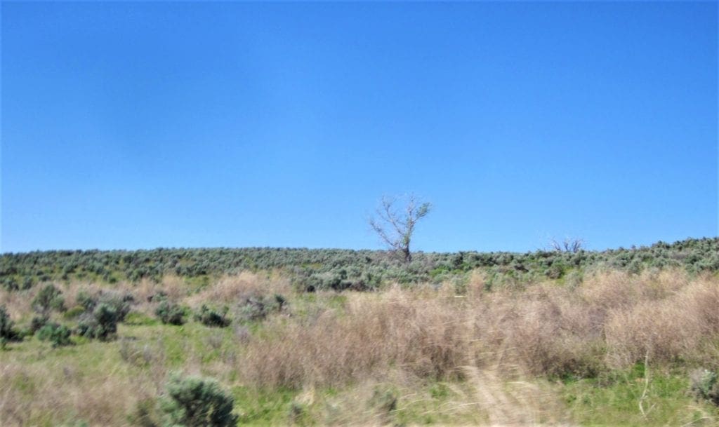 Large view of Beautiful 20.00 Large Acreage near Idaho’s Snake River Photo 9