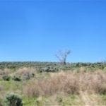 Thumbnail of Beautiful 20.00 Large Acreage near Idaho’s Snake River Photo 11