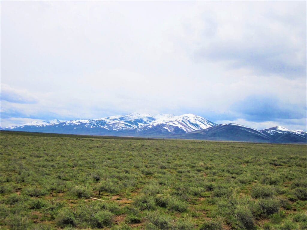 Large view of 40.00 ACRES IN WINNEMUCCA, NEVADA. HUMBOLDT COUNTY ~ ADJOINS B.L.M. LANDS ~ NEAR TOWN ~ANTELOPE & DEER ABOUND. Photo 7