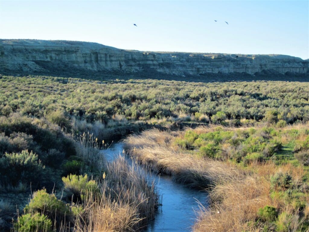 Large view of 5.00 ACRES IN GORGEOUS EASTERN OREGON ~ LAND FOR SALE NEAR IDAHO AND NEVADA BORDERS ~ CROOKED CREEK STATE PARK Photo 11