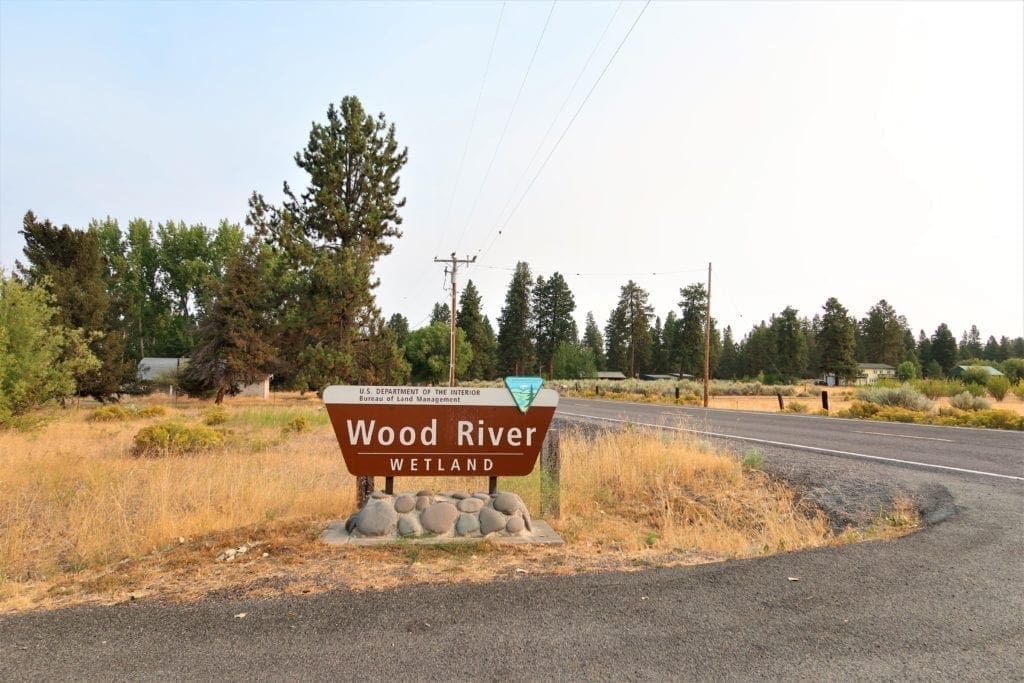 Large view of One Of A Kind 29.55 Acre Famous Wood River Marsh Property with World Class Fishing. Photo 11