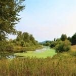 Thumbnail of One Of A Kind 29.55 Acre Famous Wood River Marsh Property with World Class Fishing. Photo 9