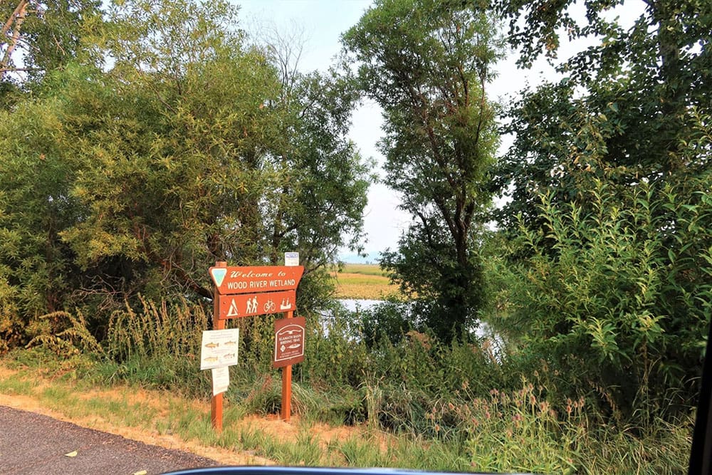 One Of A Kind 29.55 Acre Famous Wood River Marsh Property with World Class Fishing. photo 8