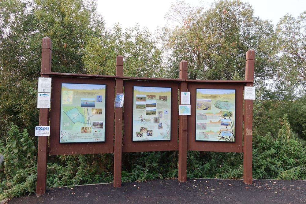 One Of A Kind 29.55 Acre Famous Wood River Marsh Property with World Class Fishing. photo 6