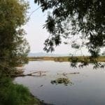 Thumbnail of One Of A Kind 29.55 Acre Famous Wood River Marsh Property with World Class Fishing. Photo 5