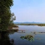 Thumbnail of One Of A Kind 29.55 Acre Famous Wood River Marsh Property with World Class Fishing. Photo 3