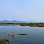 Thumbnail of One Of A Kind 29.55 Acre Famous Wood River Marsh Property with World Class Fishing. Photo 2