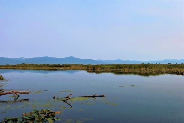 One Of A Kind 29.55 Acre Famous Wood River Marsh Property with World Class Fishing.