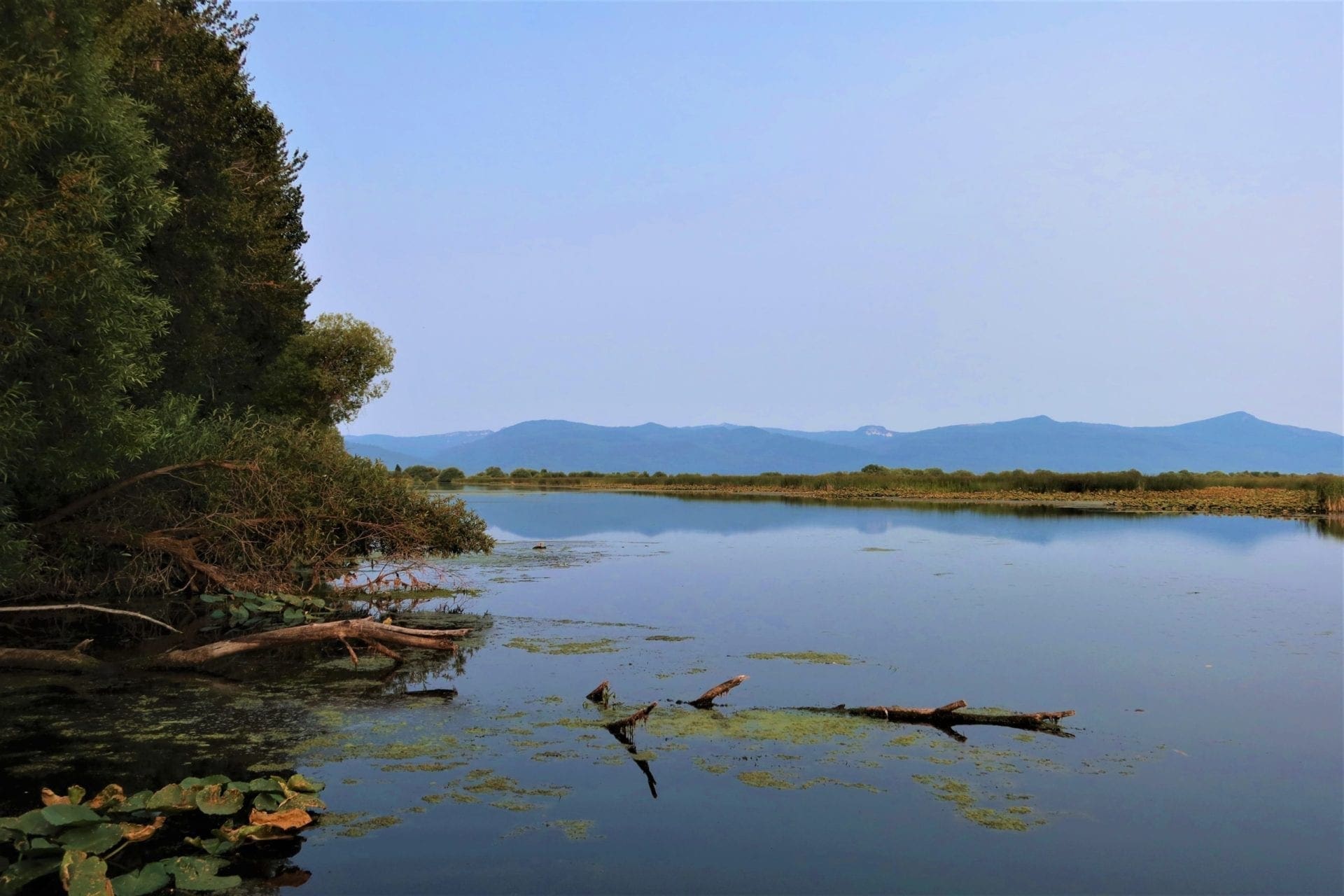 One Of A Kind 29.55 Acre Famous Wood River Marsh Property with World Class Fishing. photo 1