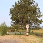 Thumbnail of One Of A Kind 29.55 Acre Famous Wood River Marsh Property with World Class Fishing. Photo 7