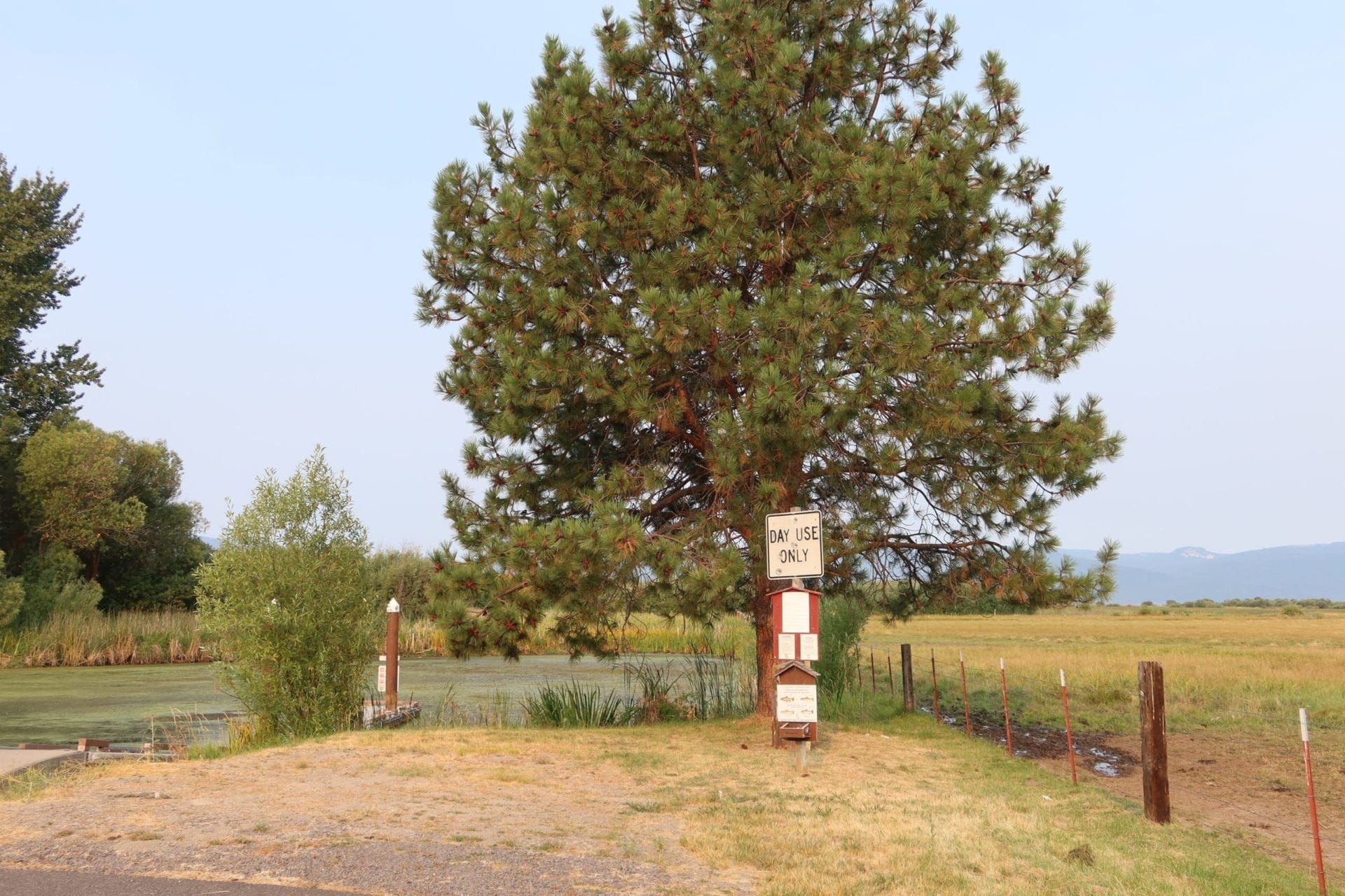 One Of A Kind 29.55 Acre Famous Wood River Marsh Property with World Class Fishing. photo 7