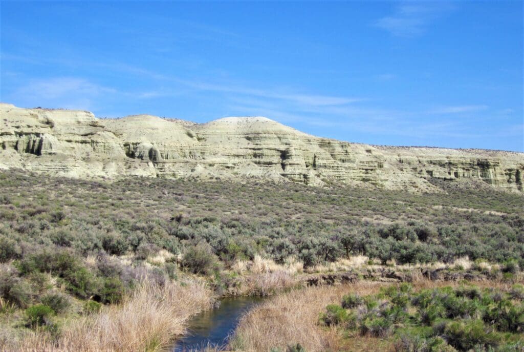 Large view of 5.00 ACRES IN GORGEOUS EASTERN OREGON ~ LAND FOR SALE NEAR IDAHO AND NEVADA BORDERS ~ CROOKED CREEK STATE PARK Photo 1