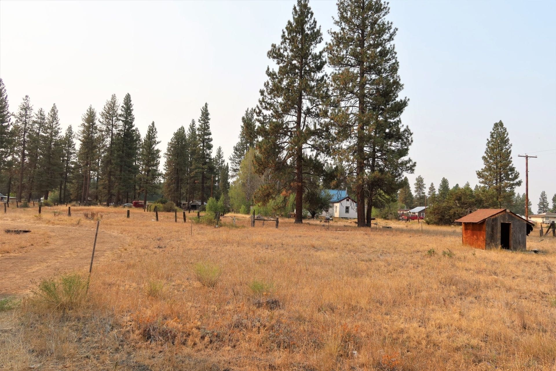 Great Building Lot in TOWN OF SPRAGUE RIVER WITH SHACK, TREES AND LIVE WATER SPICKET. photo 10