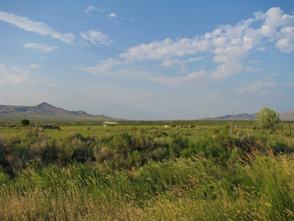Large view of 40.00 ACRES IN WINNEMUCCA, NEVADA. HUMBOLDT COUNTY ~ ADJOINS B.L.M. LANDS ~ NEAR TOWN ~ANTELOPE & DEER ABOUND. Photo 5