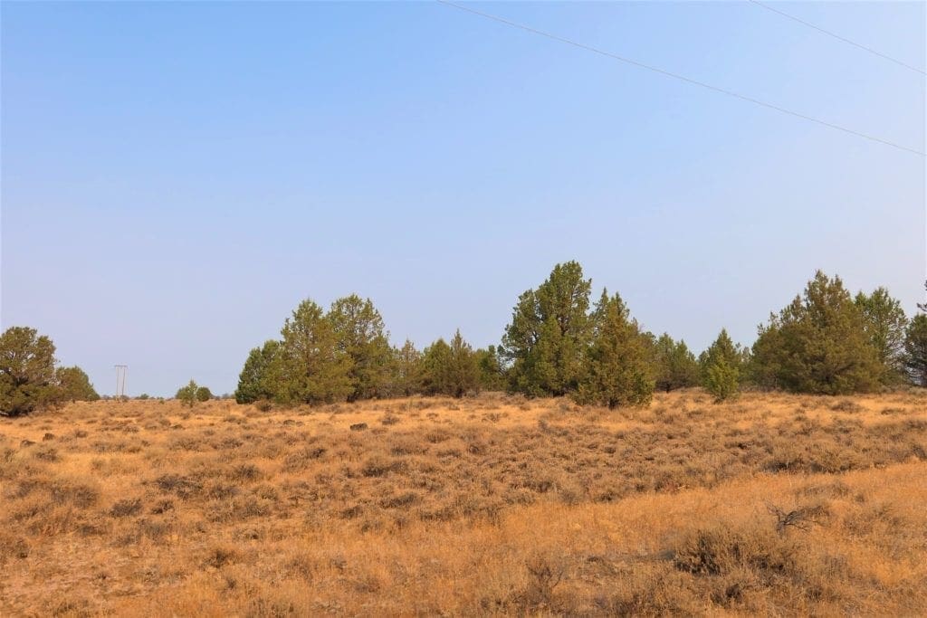 Large view of Wild Horses Roam This Gorgeous 40 Acre Tableland Property In Sprague River! Photo 13