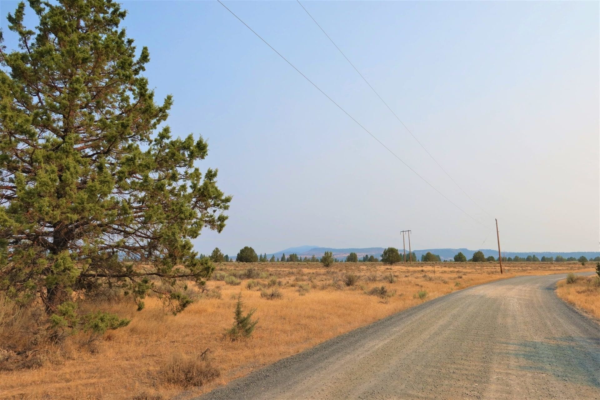 Wild Horses Roam This Gorgeous 40 Acre Tableland Property In Sprague River! photo 12