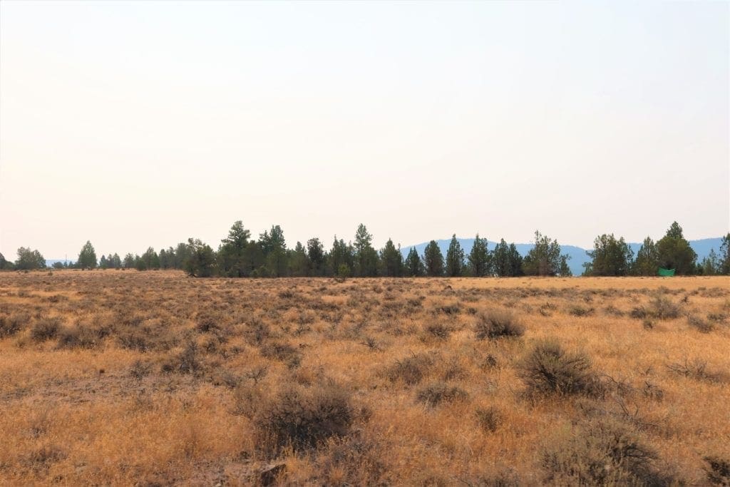 Large view of Wild Horses Roam This Gorgeous 40 Acre Tableland Property In Sprague River! Photo 8