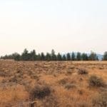 Thumbnail of Wild Horses Roam This Gorgeous 40 Acre Tableland Property In Sprague River! Photo 8
