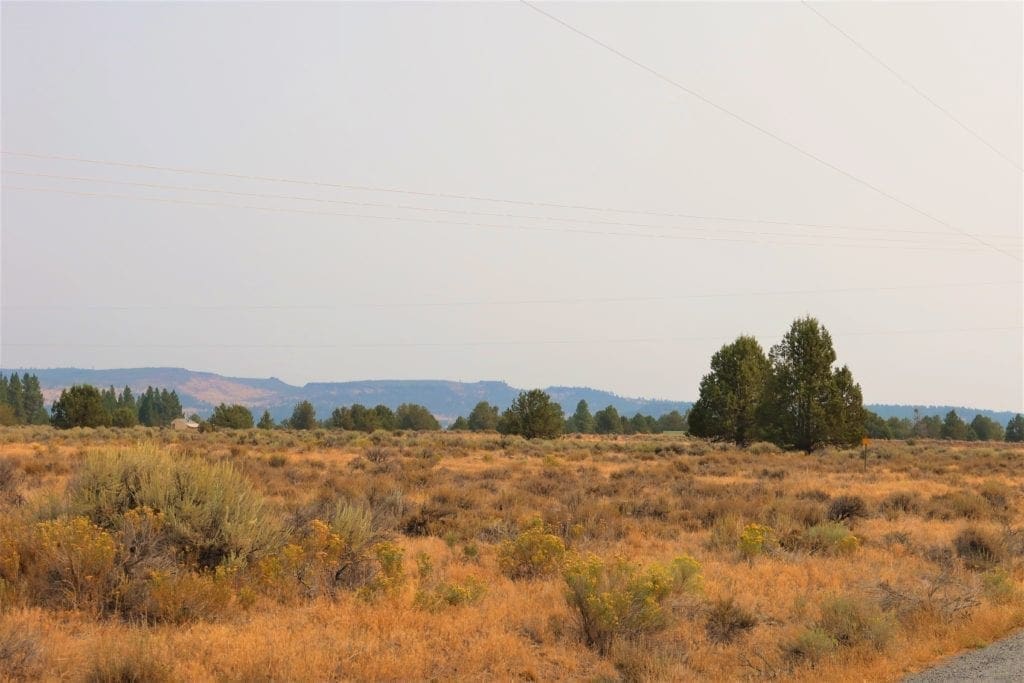 Large view of Wild Horses Roam This Gorgeous 40 Acre Tableland Property In Sprague River! Photo 5